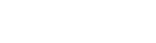 Chapter Ann Arbor