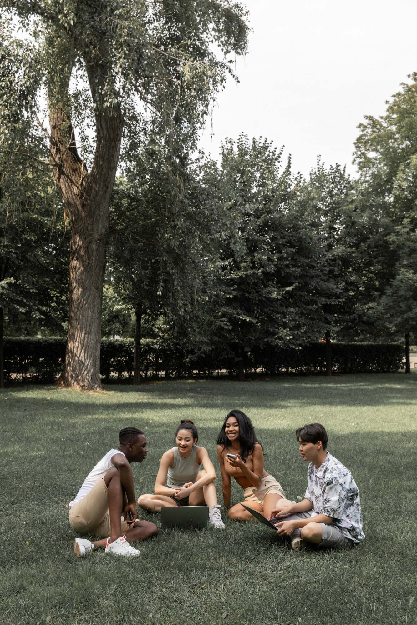 Four friends studying in a park